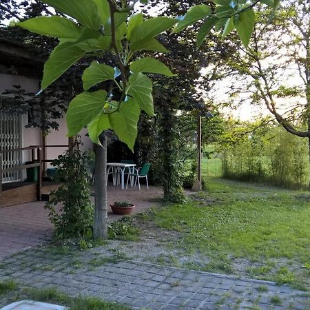 Rose Canine B&B Cesenatico Exterior foto