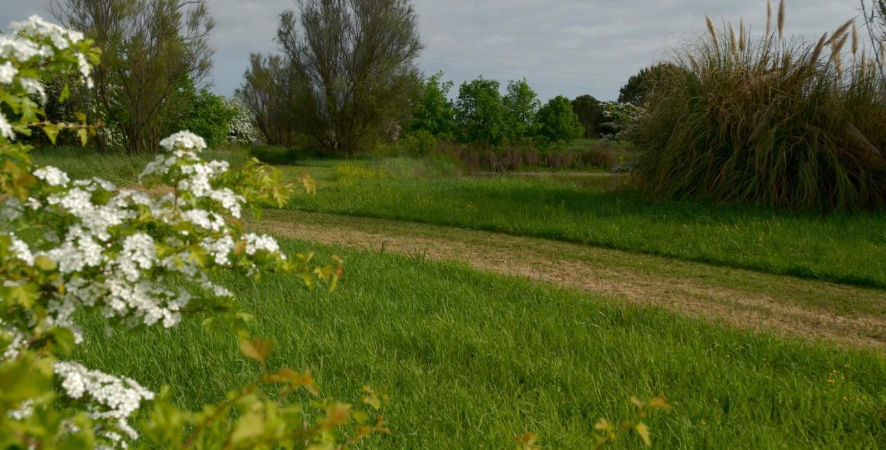 Rose Canine B&B Cesenatico Exterior foto