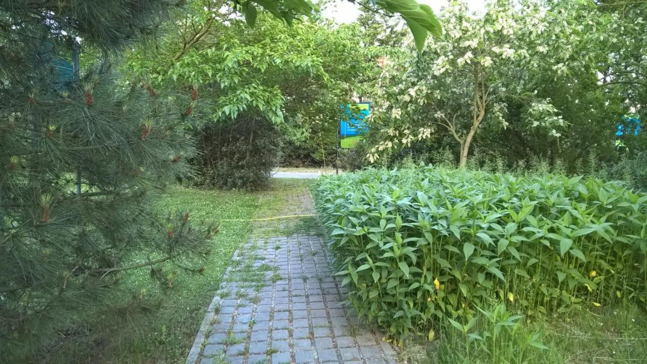 Rose Canine B&B Cesenatico Exterior foto