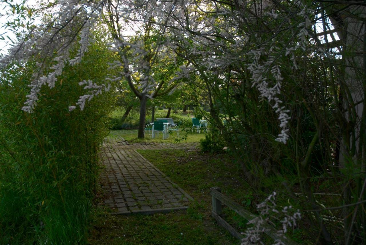 Rose Canine B&B Cesenatico Exterior foto