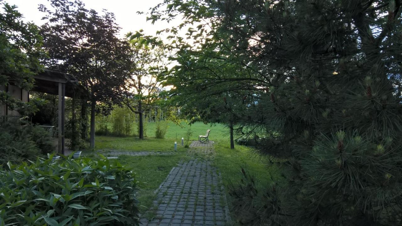 Rose Canine B&B Cesenatico Exterior foto